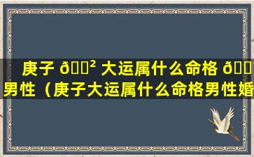 庚子 🌲 大运属什么命格 🌼 男性（庚子大运属什么命格男性婚姻）